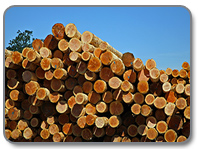 Logs