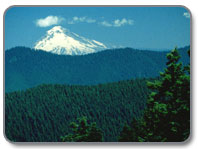 View of the Cascade Range