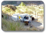Electric Fences