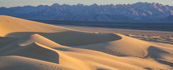 Sand dunes with jagged mountains in the distance.