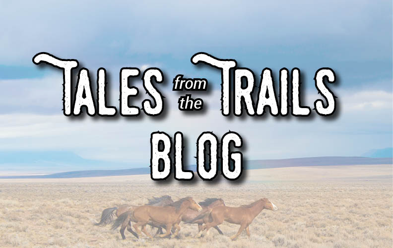 A button that says Blog and shows a photo of a rider on a horse.