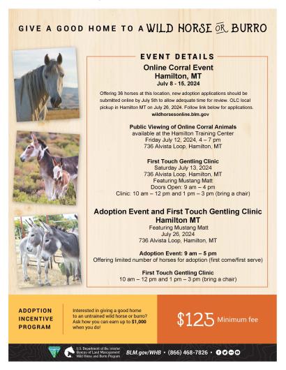 Wild Horse and Burro flyer with 3 photos of horses and text about upcoming events