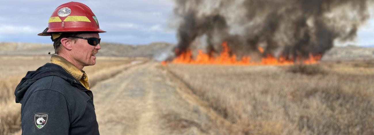 A person wearing a red hardhat watches dead cattails burn from a dirt road.