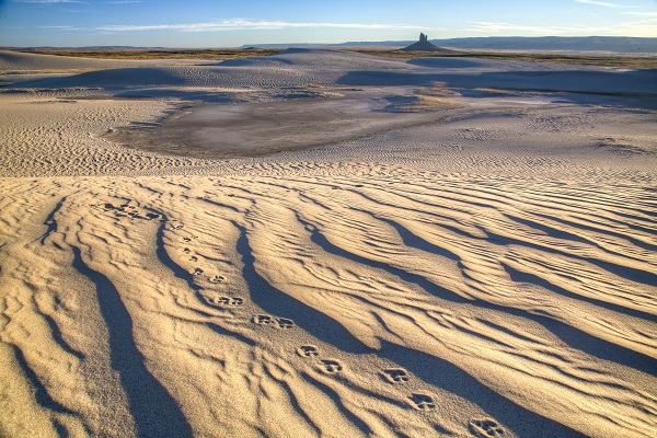 Boars Tusk and Killpecker Dunes, Wyoming