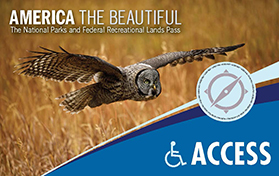 interagency access pass image showing a Great Grey Owl flying