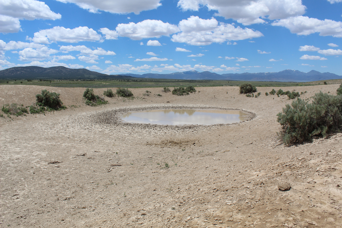 2019 FishCreekHMA_Drying Reservoir in North End