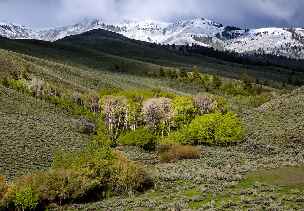 Jerry Peak