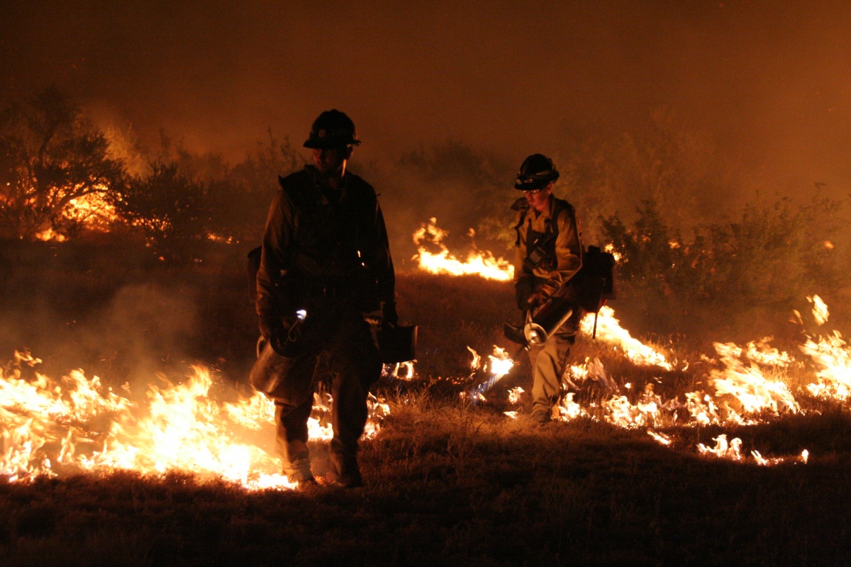 two silhouetted firefighters