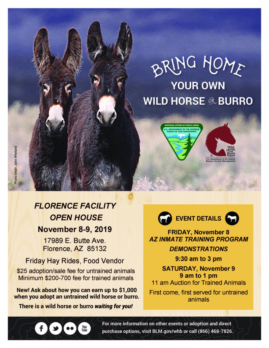 Flyer - Florence Wild Horse and Burro Open House November 8- 9 , 2019