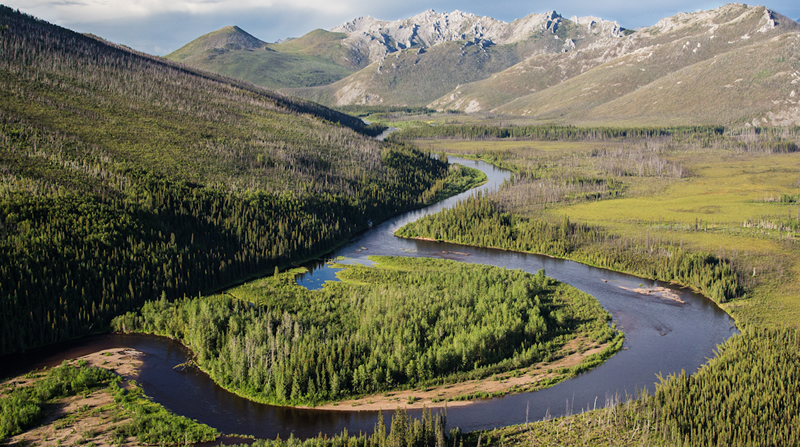 artist in residence eastern alaska rivers bureau of land management
