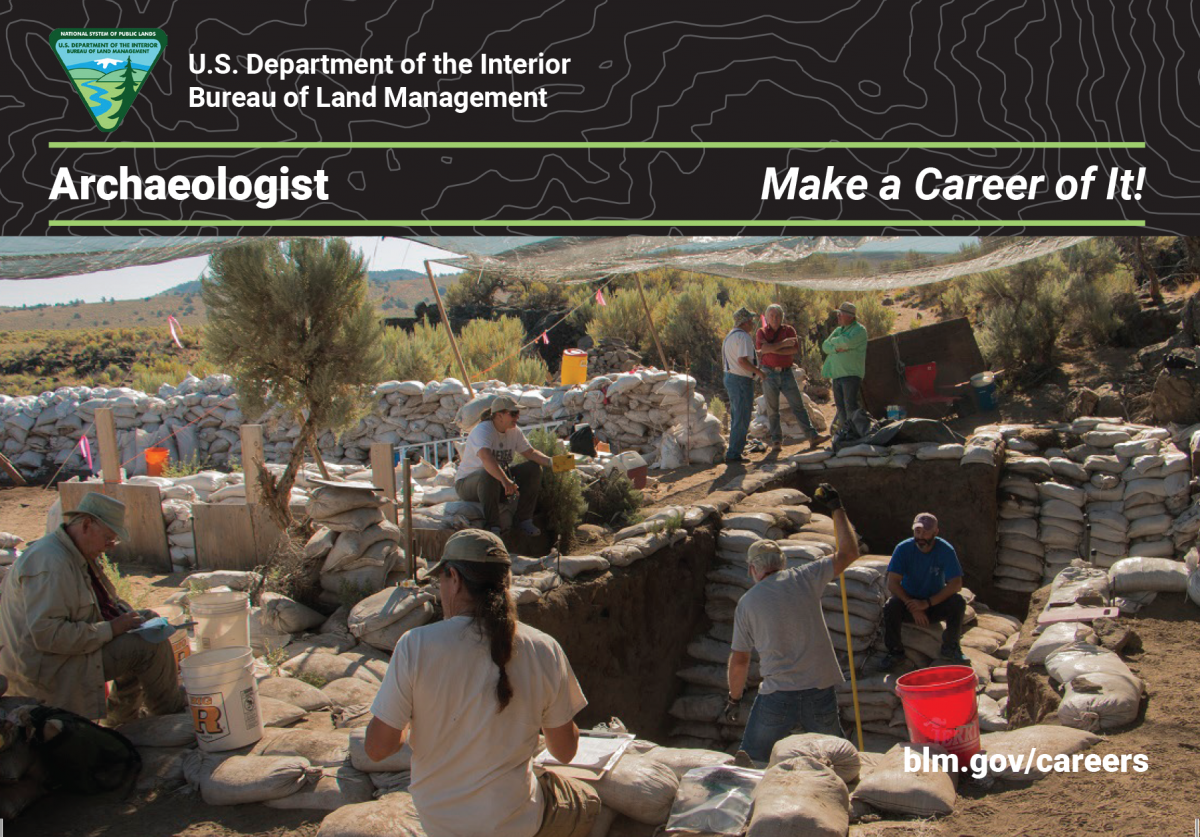 Archaeologist career card