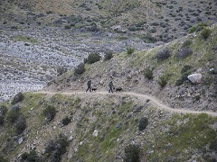 Hikers on a desert trail. Photo by Bob Wick, BLM.