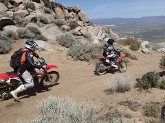 Two dirt bike race down a dusty trail. Photo by Marisa Williams, BLM.