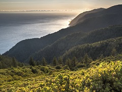 Forest meets the Pacific Ocean at sunrise. Photo by Bob Wick, BLM.