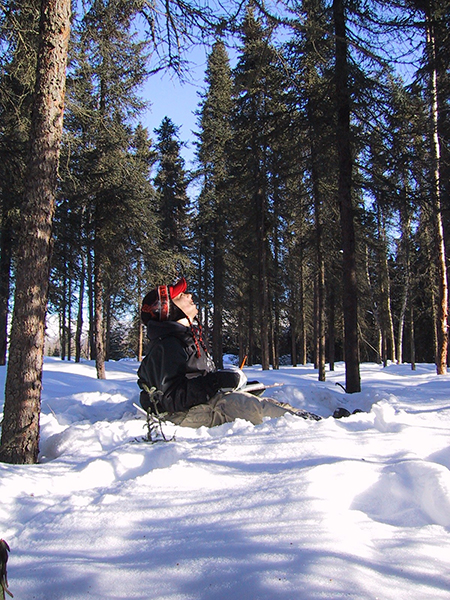 Boy sitting in the snow looking up at the trees
