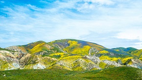 Bright green, rolling hills partially covered by cloud shadows.