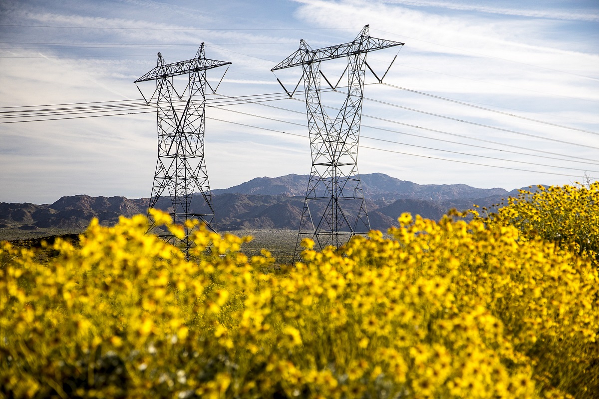 Transmission Lines with yellow flowers in the foreground and mountains in the background