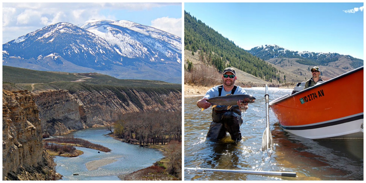 Images are copyrighted. D Lingle Salmon Buffs. Glenn Oakley Steelhead.