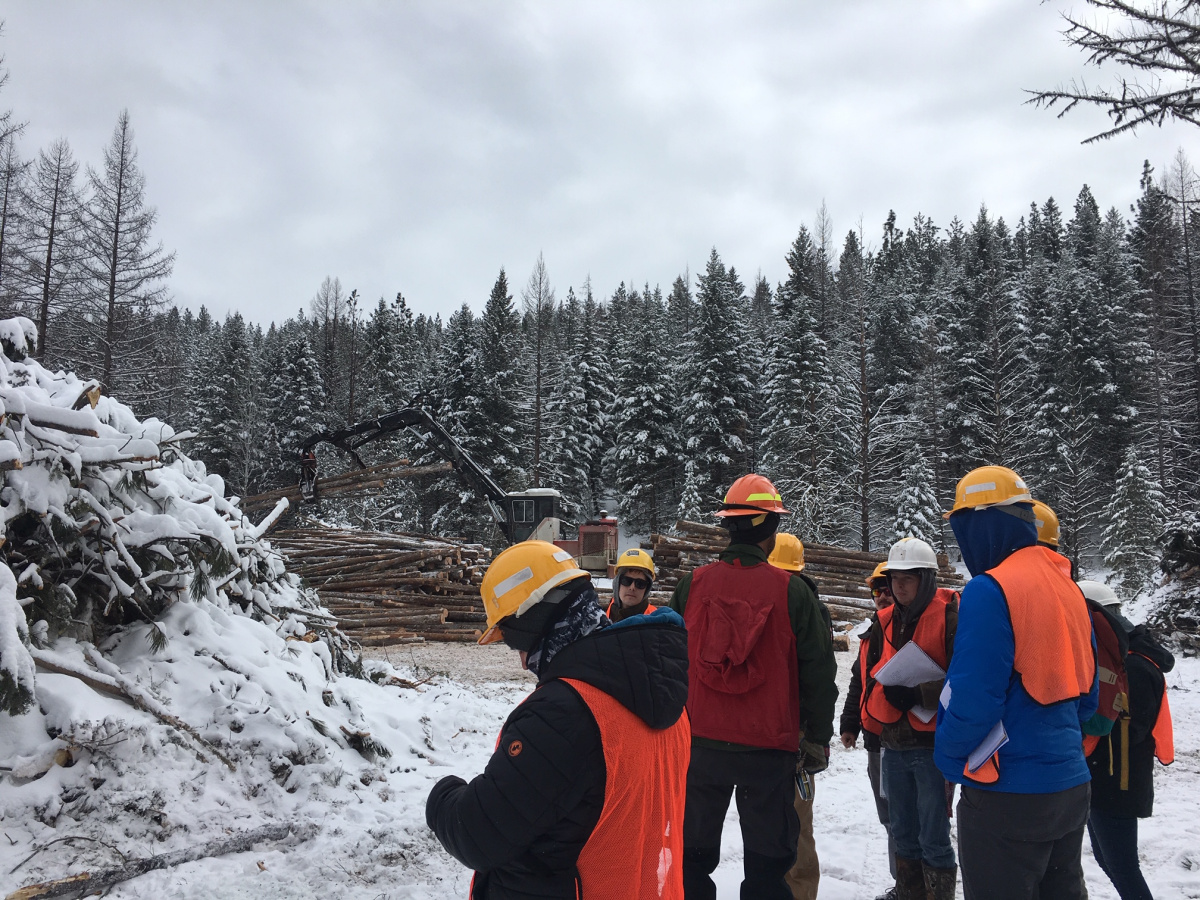 Students at a Log Landing