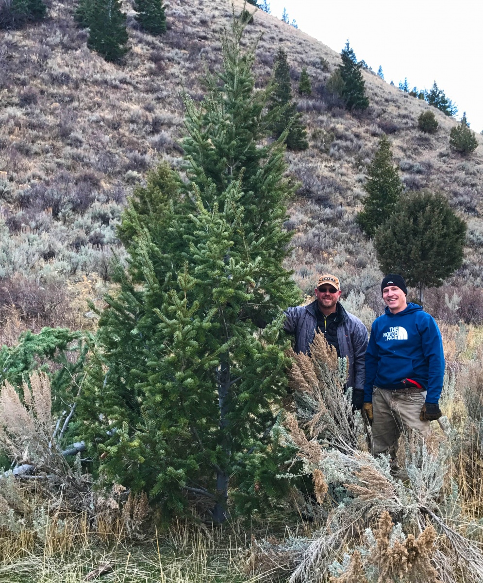 Idaho Christmas Tree Hunt