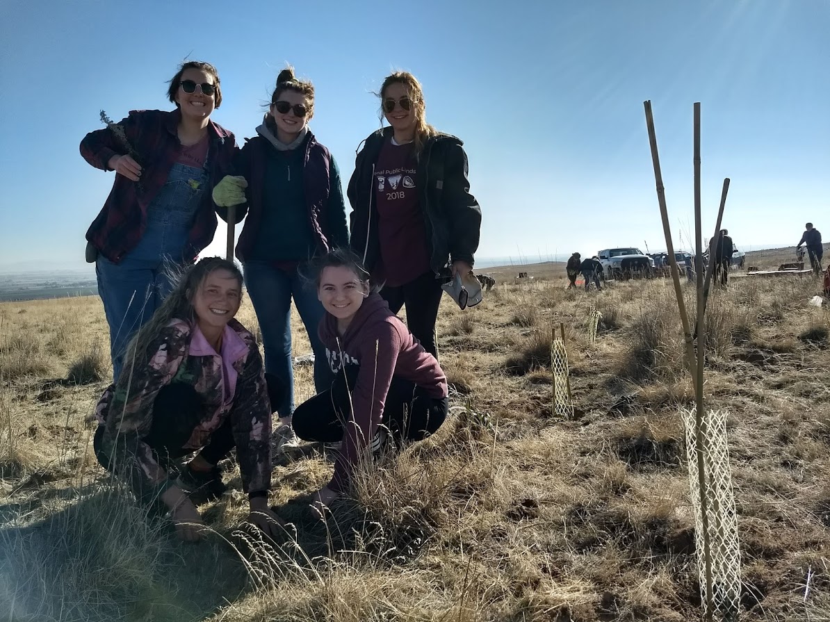 Volunteers help restore wildlife habitat at Kuna Butte