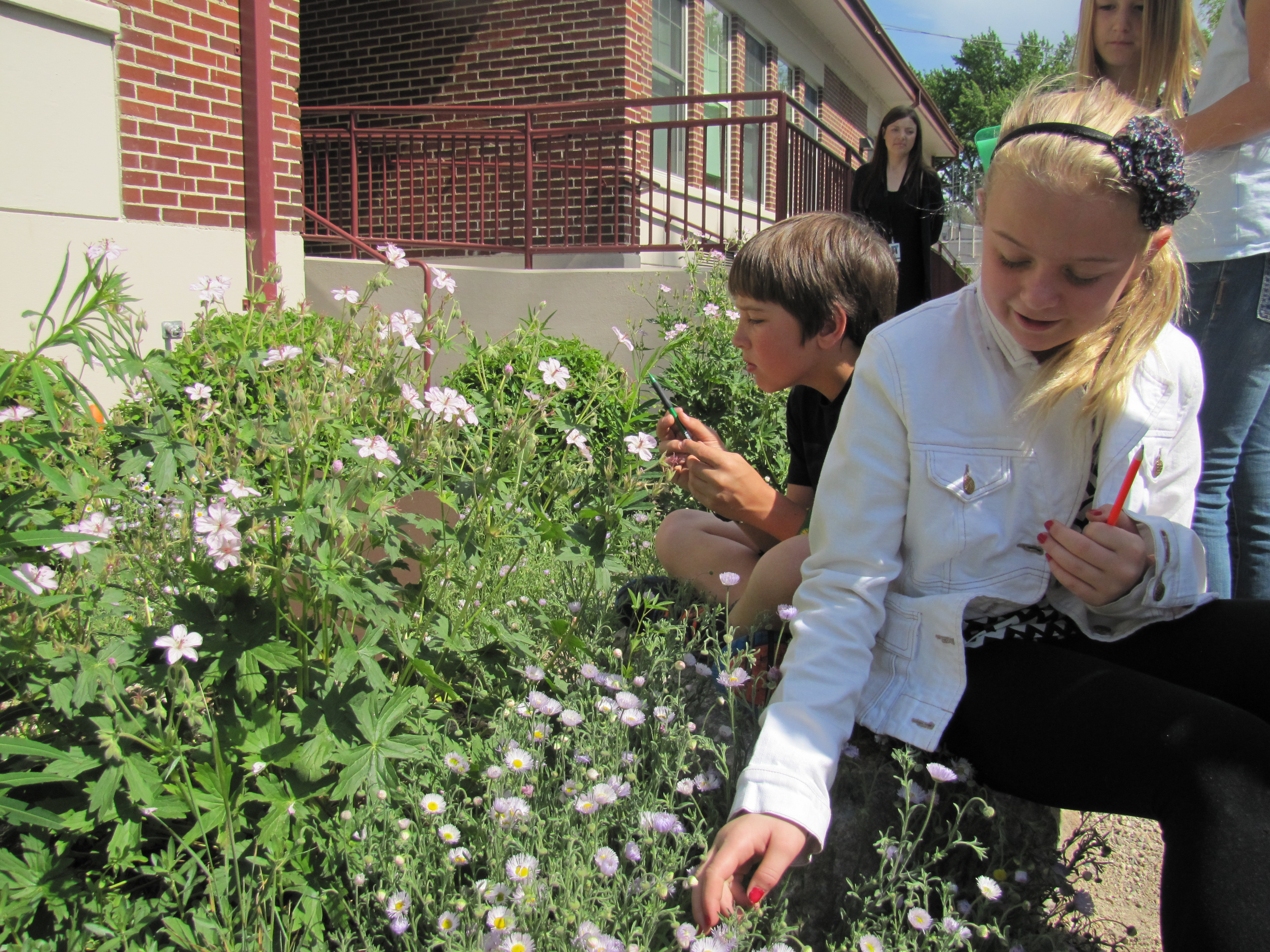 Roosevelt Elementary Native Plant Garden