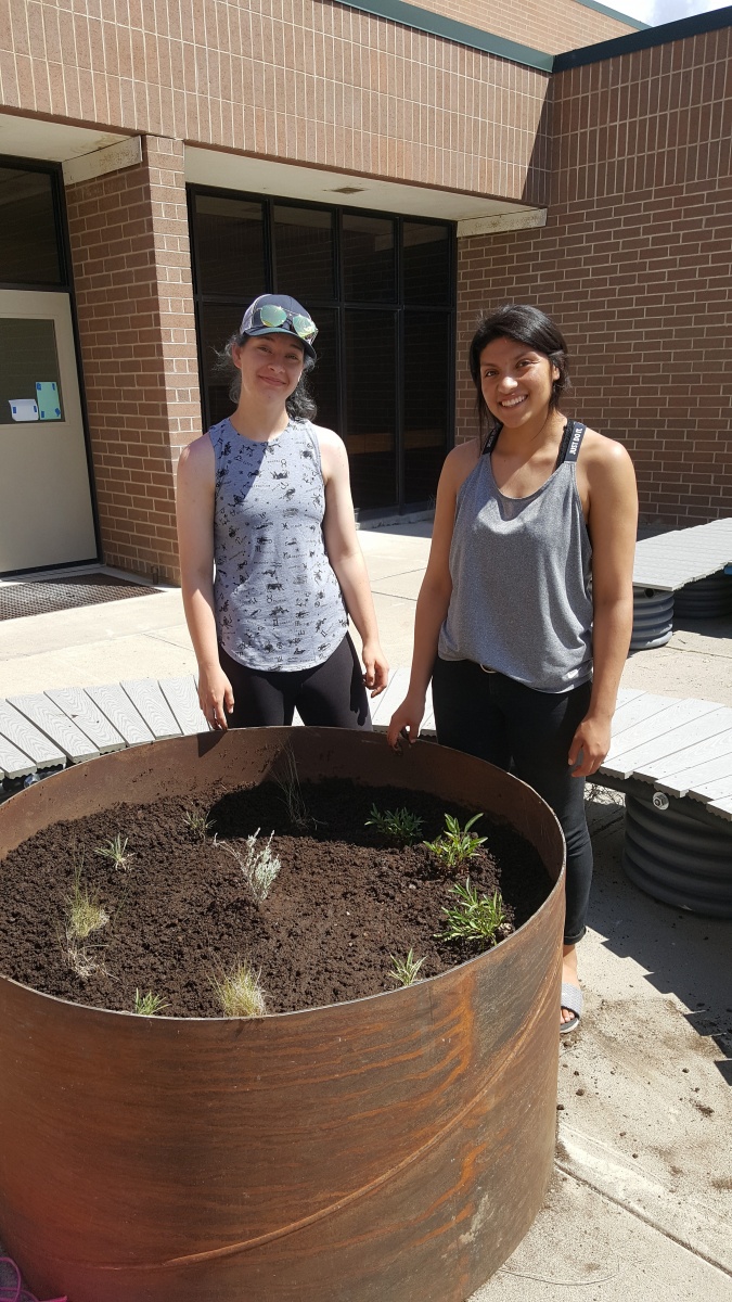 Students at Rimrock High School with native plant garden
