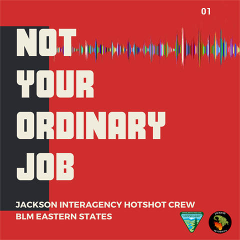 not your ordinary job cover podcast