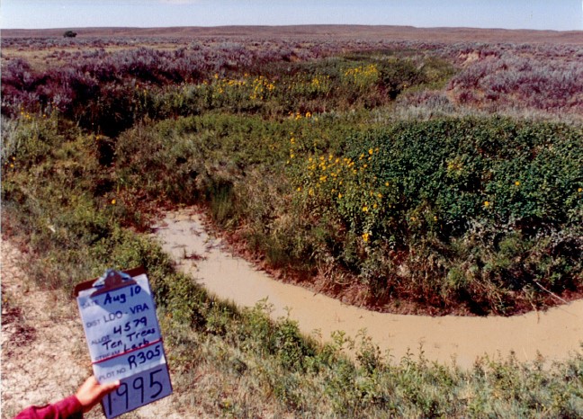 Larb Creek 1995