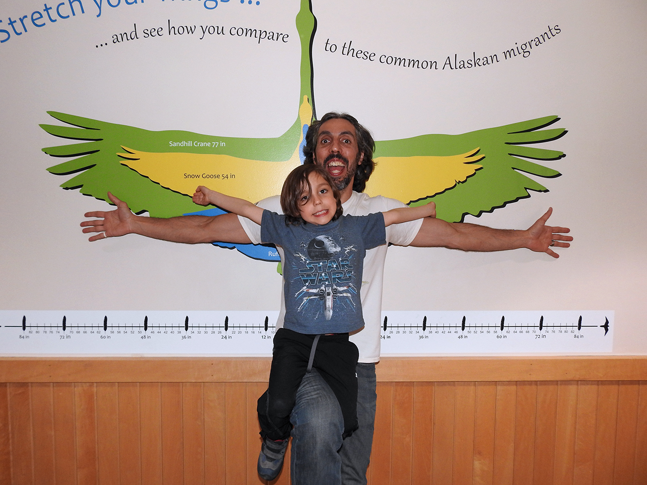 Father and son enjoying the Stretch your wings wall comparing their arm span to bird wingspan graphic