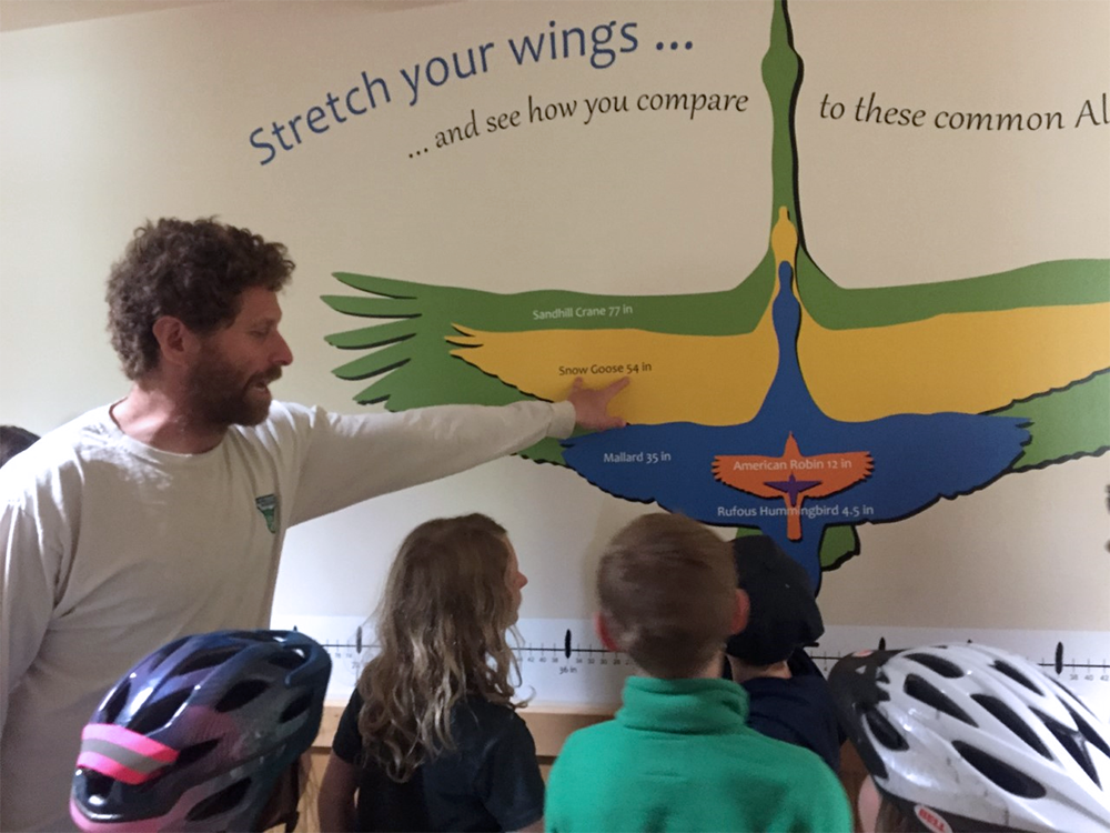 Staff pointing to wingspan graphic with a group of students