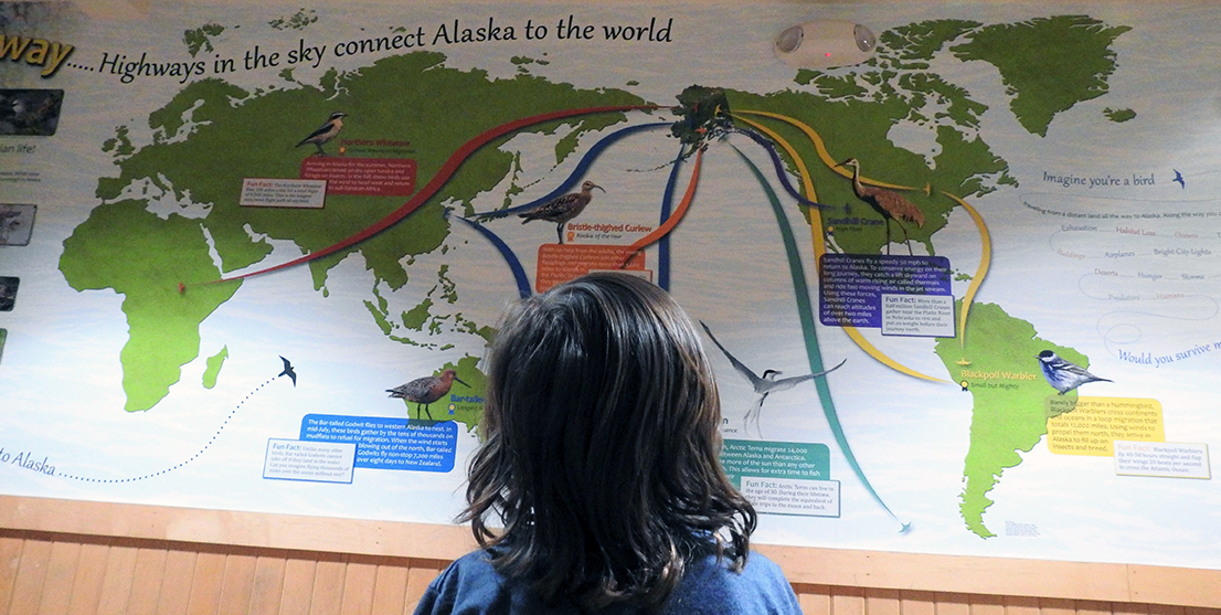 Boy in from of AK Flyway map