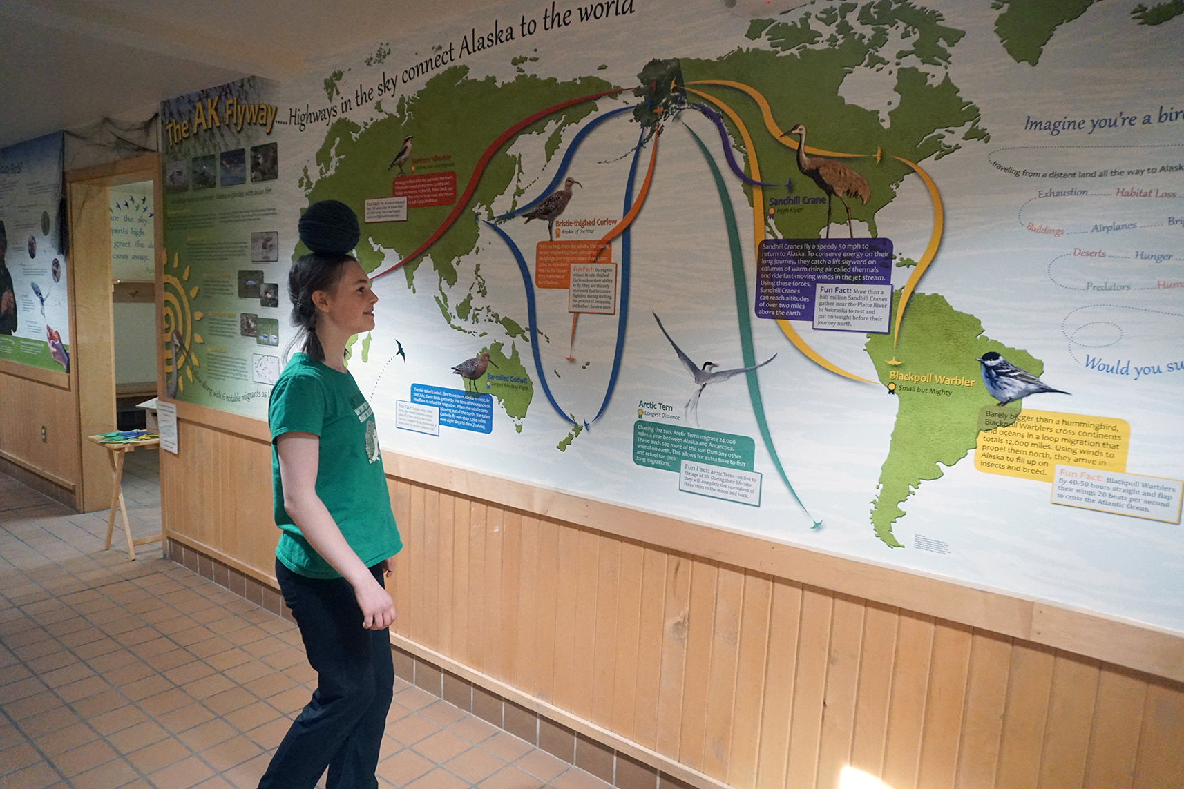 Girl in front of AK Flyway map wall