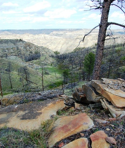 BLM trails near Miles City