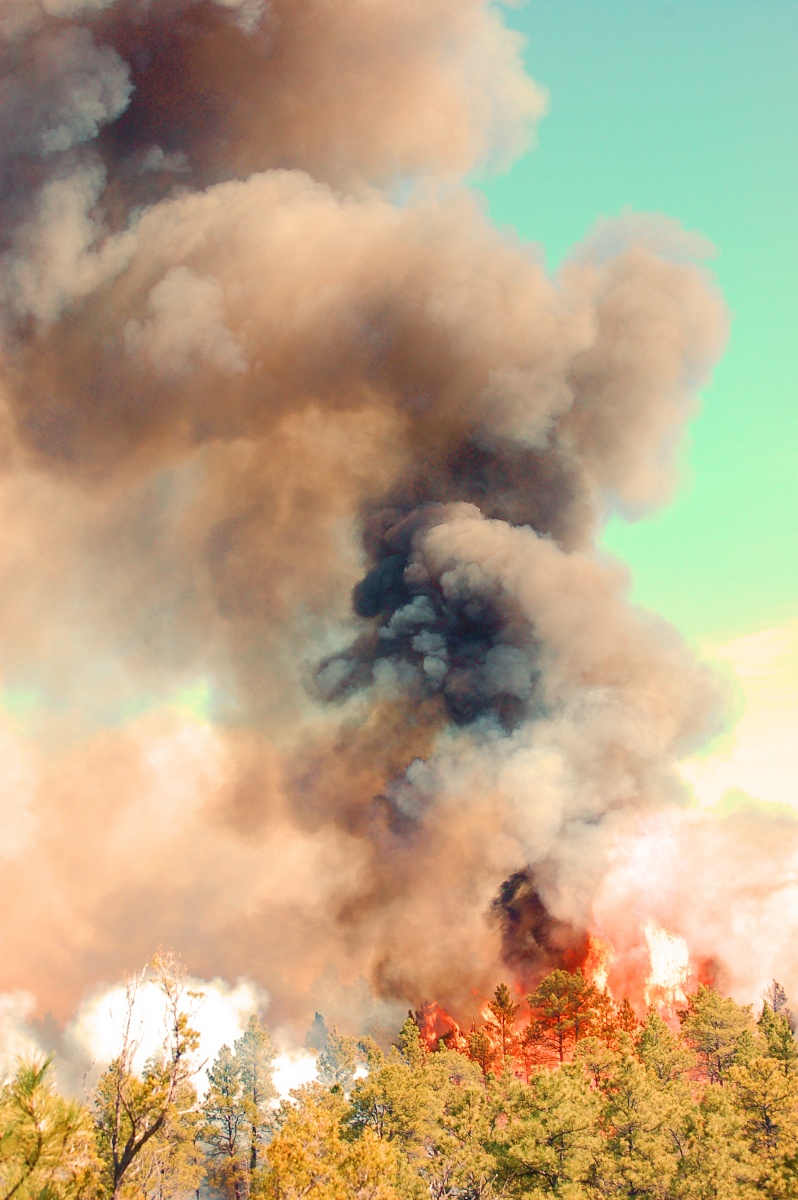 BLM Fire Photo