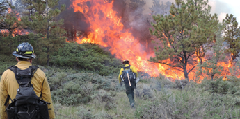 PRescribed burn in UMRBNM