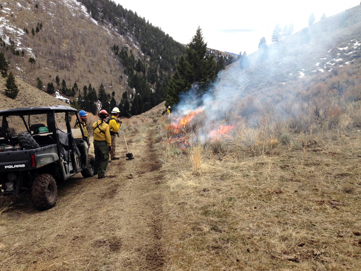 Prescribed burn near Melrose MT 2017