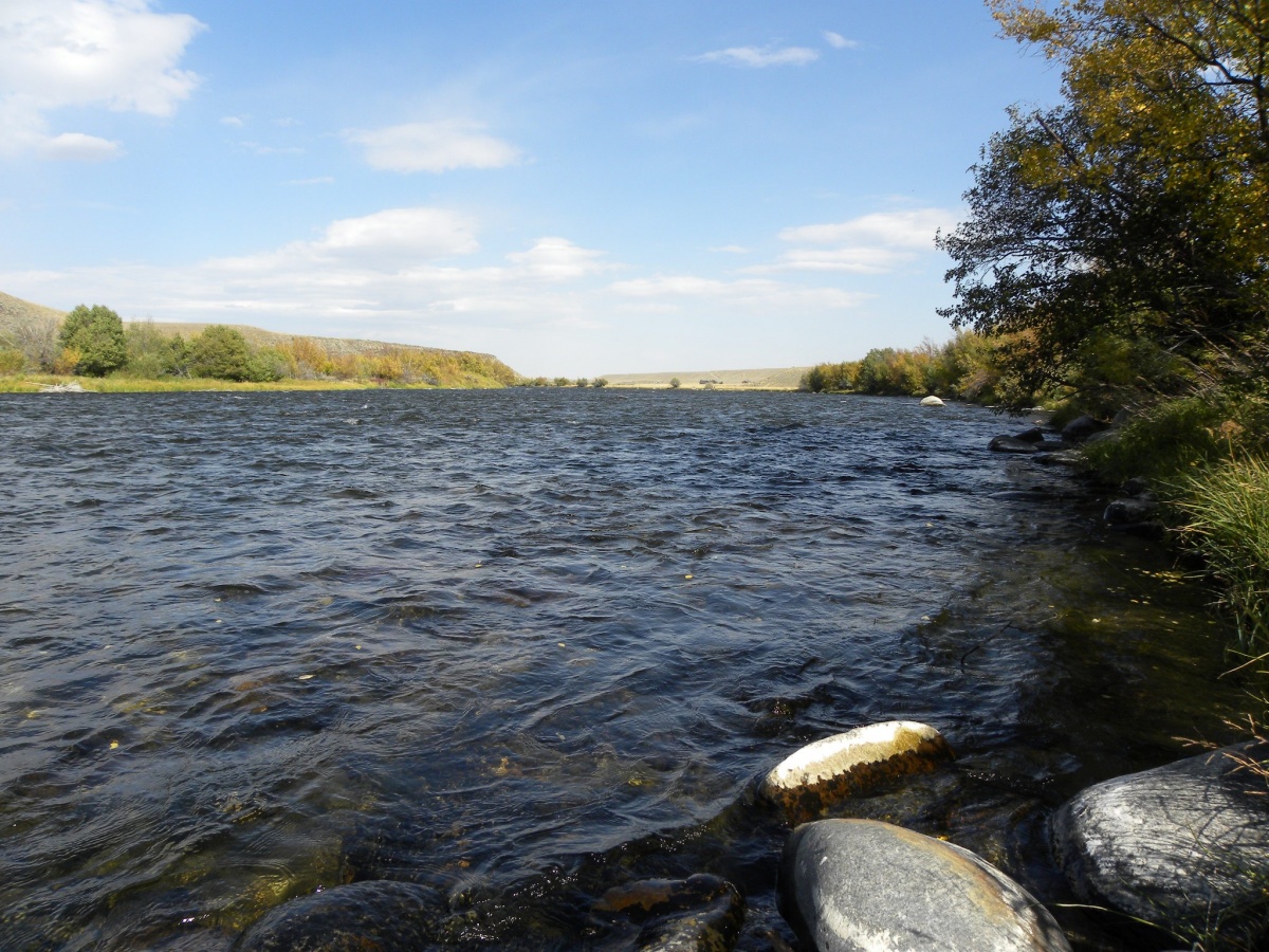 Madison River