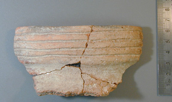 Ceramic Sherd Artifact