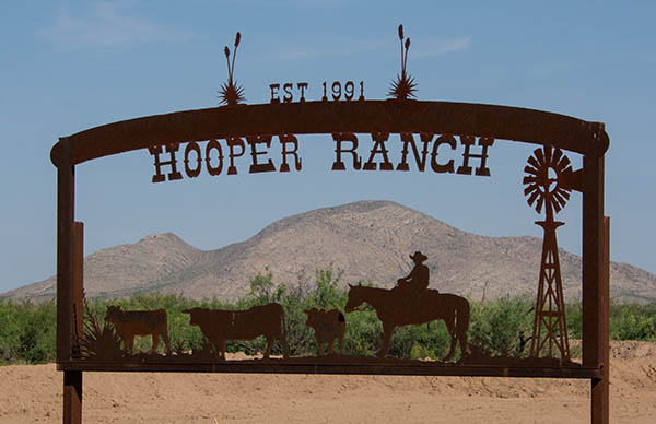 Throughout the ranch, the entrance portals, gates and windmills are adorned with western scenes designed and cut by Penny Hooper, a master metal craftswoman.