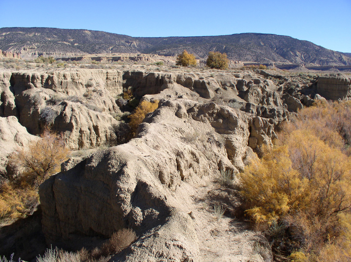 Rio Puerco Watershed