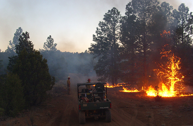Fire managers monitor the Mertz Ranch Prescribed Fire, a broadcast burn in the Rio Puerco Field Office. 