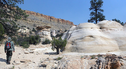 A solitary hiker in the Ojito Wilderness