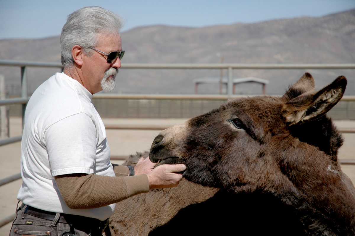 A man hugs a wild burro. BLM photo.