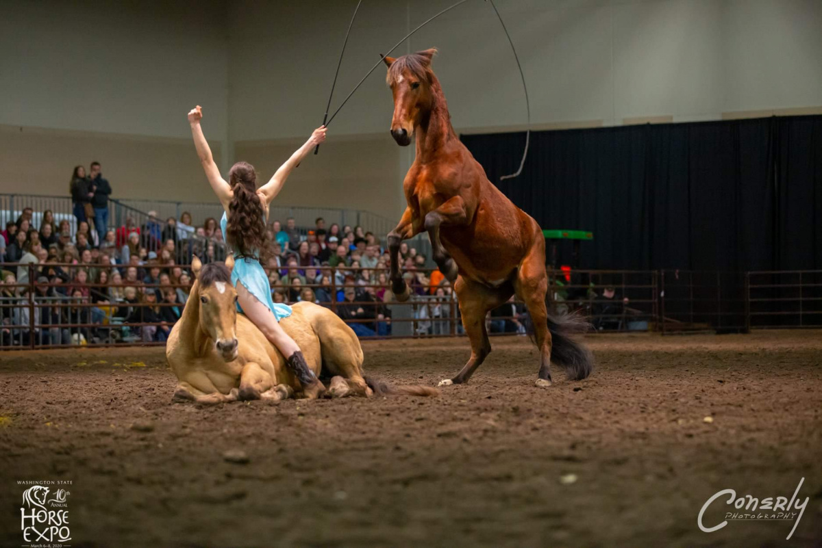 Girl performing with two horses in an arena