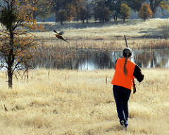 Femail Pheasant hunter walking away with rifle 