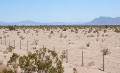 desert landscape with fence and shrubs