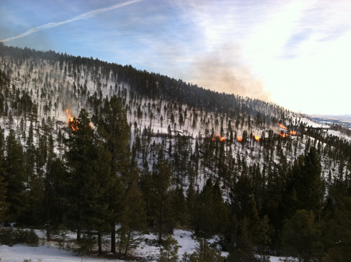 Pile burning in the BLM North Central District