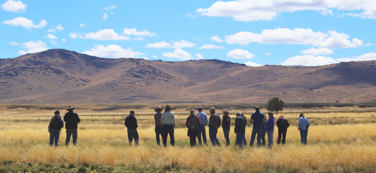 Members of the Buffalo-Skedaddle Working Group head out across a meadow on public land managed by the BLM along the northeast California-northwest Nevada state line. Photo by Jeff Fontana, BLM.