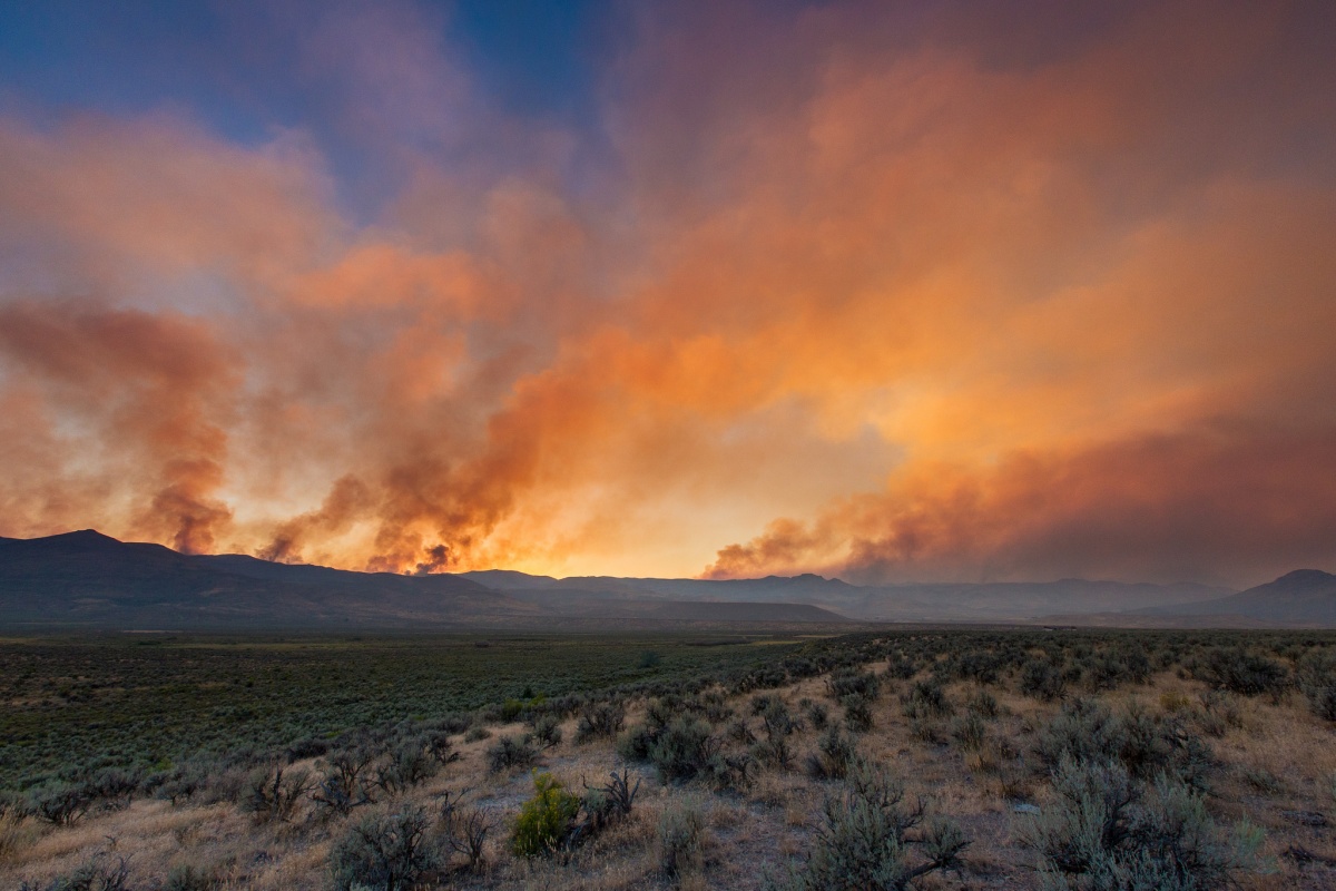 A landscape photo of the Soda Fire in Idaho. BLM photo.